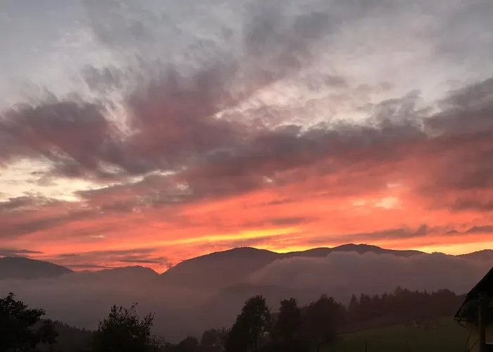 Han/Misafirhane Wadl *